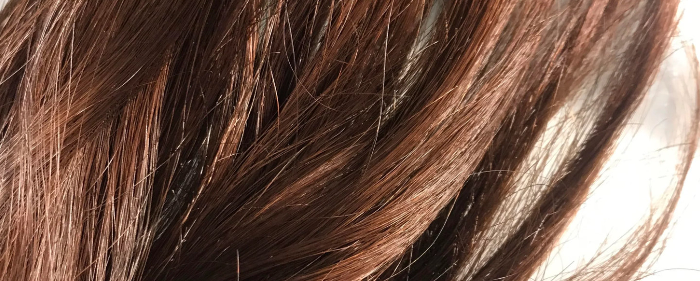 Dark Brown Hair with Blue Undertones