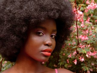 Hair Products that Promote Growth of Black Hair